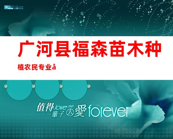 广河县福森苗木种植农民专业合作社
