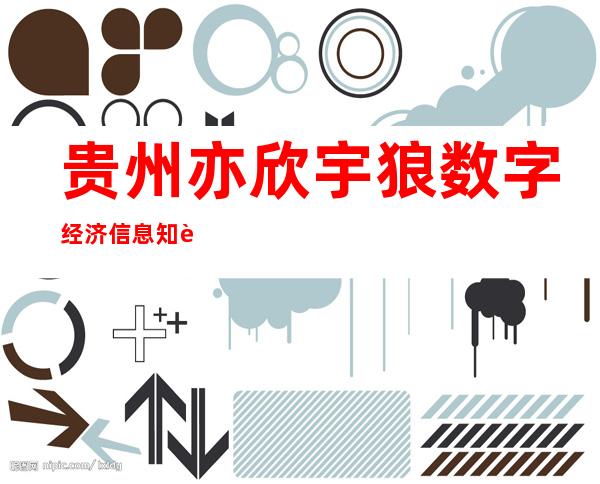 贵州亦欣宇狼数字经济信息知财税有限公司